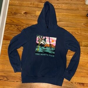 THE NORTH FACE Men's Graphic Injection Hoodie, Shady Blue/Wasabi, Medium